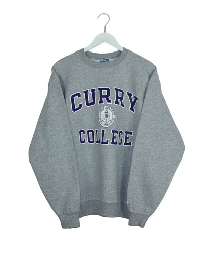 Champion Curry College Sweater